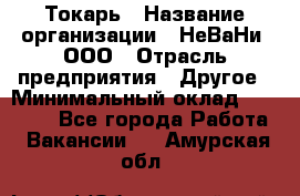 Токарь › Название организации ­ НеВаНи, ООО › Отрасль предприятия ­ Другое › Минимальный оклад ­ 80 000 - Все города Работа » Вакансии   . Амурская обл.